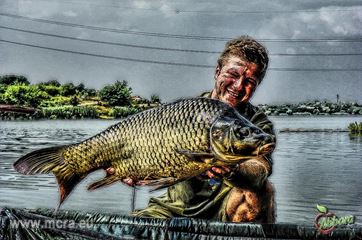MeetCarp Romanian Awards 2013